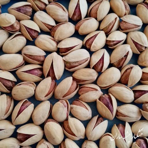 Naturally open organic Fandoghi pistachios from Iran